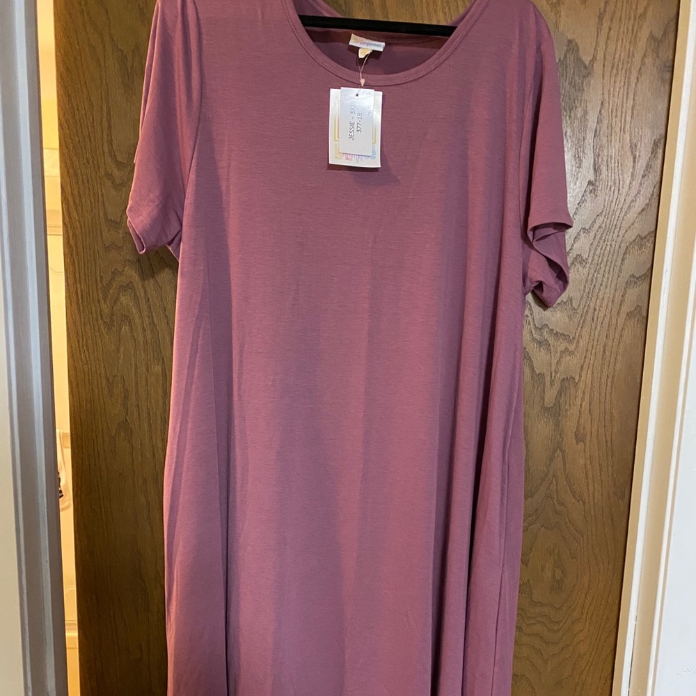NWT 3X Jessie dress